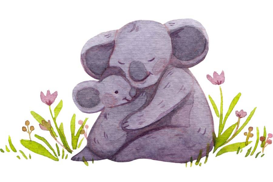 bébé koala dans les bras de sa maman